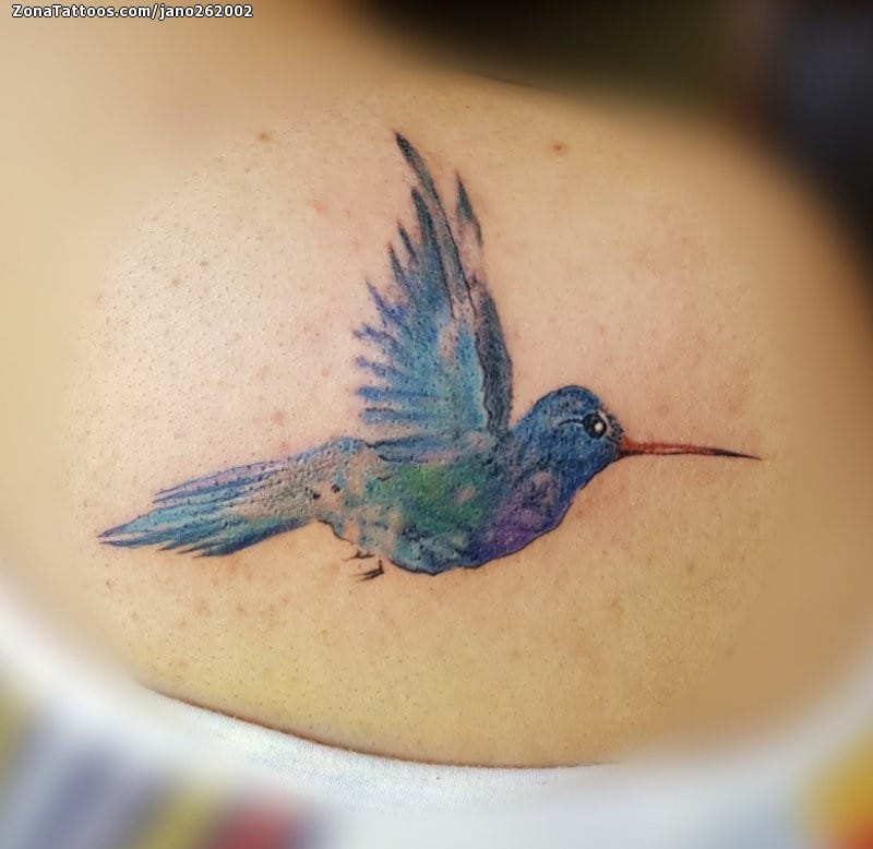 Foto de tatuaje Colibríes, Aves, Animales