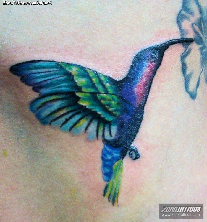 Foto de tatuaje Colibríes, Animales, Aves