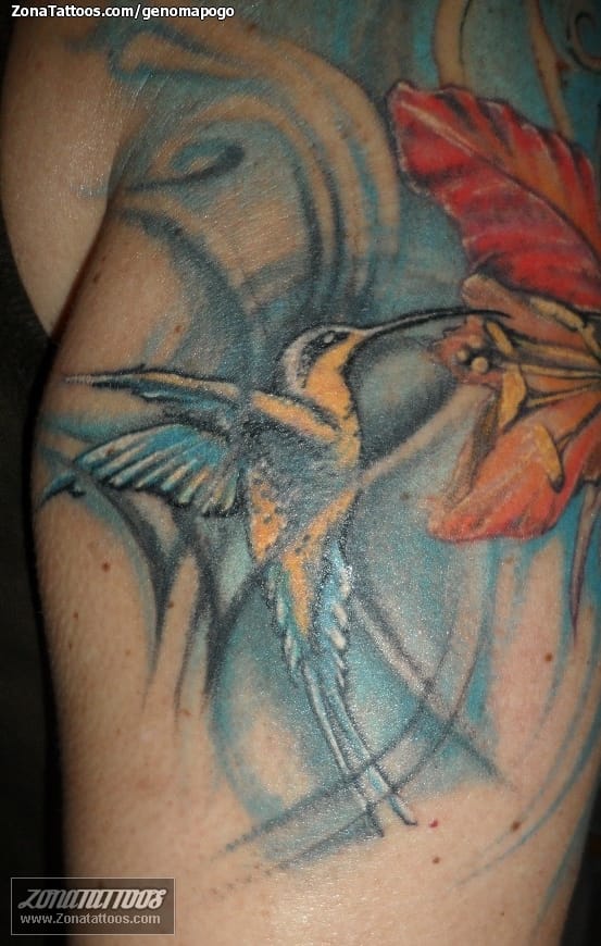 Tattoo photo Birds, Humming bird, Animals