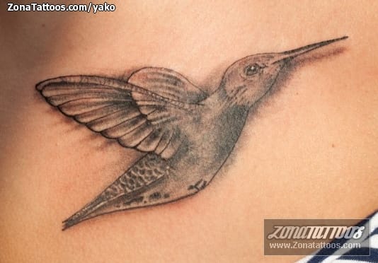 Foto de tatuaje Aves, Colibríes, Animales