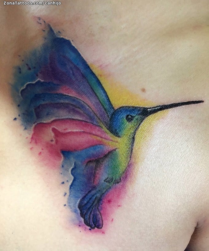 Foto de tatuaje Colibríes, Aves, Animales