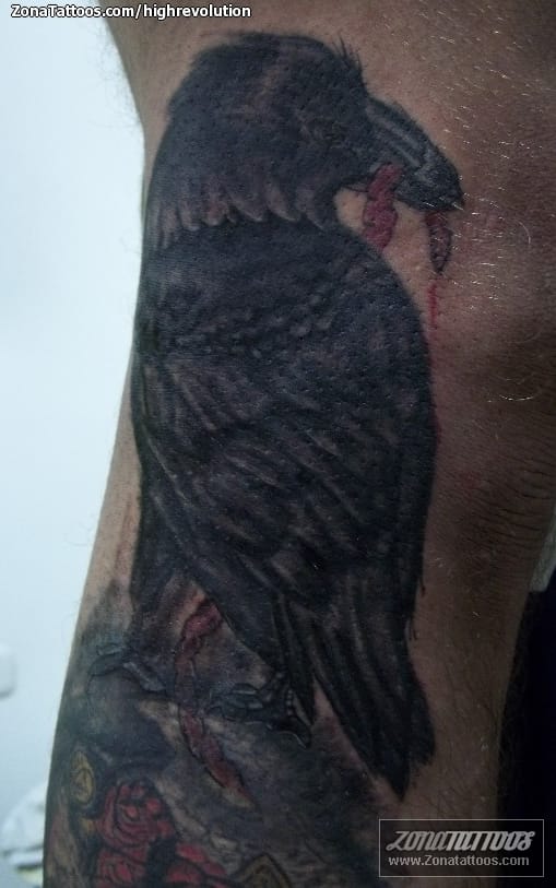 Foto de tatuaje Cuervos, Aves, Animales