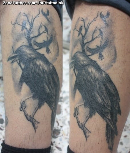 Foto de tatuaje Cuervos, Aves, Animales