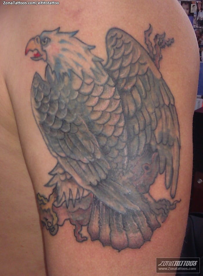 Tattoo photo Birds, Eagles, Cover Up