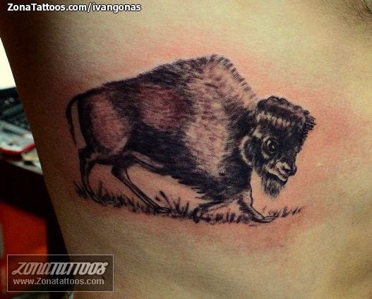 Tattoo photo Buffalos, Animals