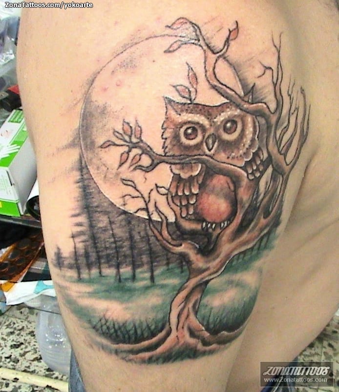 Tattoo photo Owls, Birds, Animals