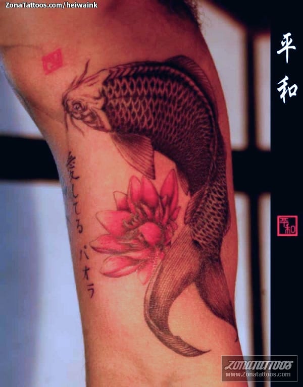 Foto de tatuaje Koi, Peces, Animales