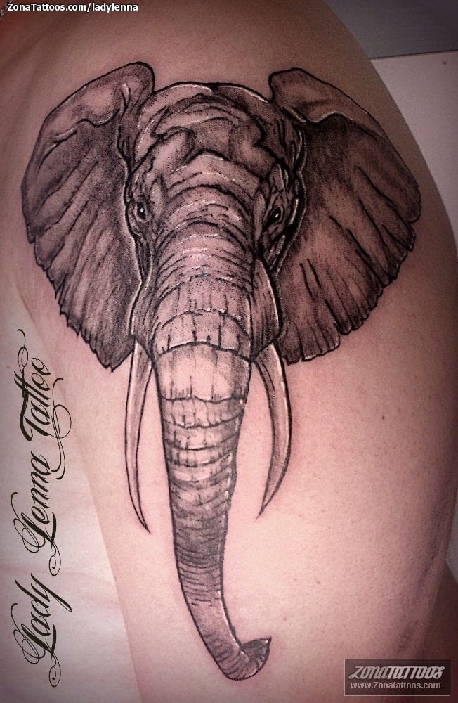 Tatuaje de Elefantes, Animales