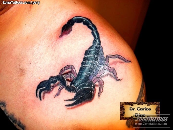 Foto de tatuaje Insectos, Escorpiones