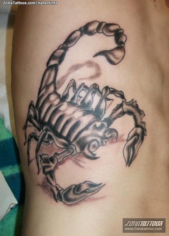 Tattoo photo Scorpions, Insects