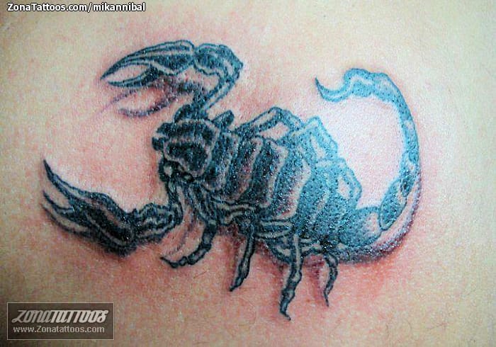 Tattoo photo Scorpions, Insects