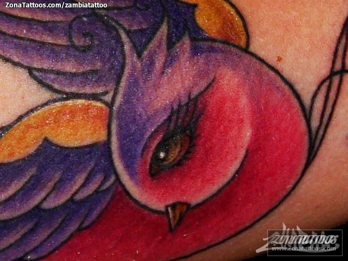 Foto de tatuaje Golondrinas, Aves, Animales