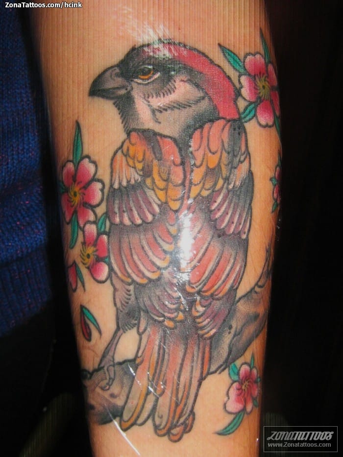 Galactic blue jay tattoo on the right upper arm