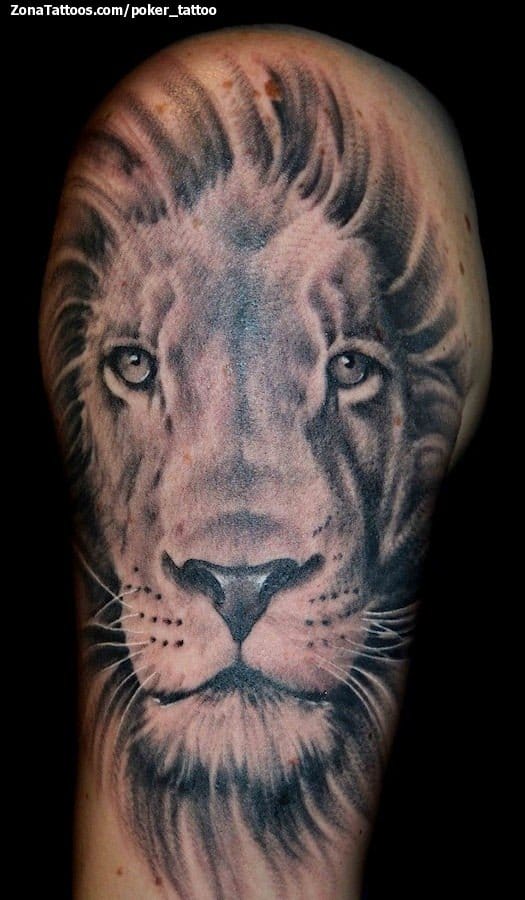 Tattoo photo Lions, Animals