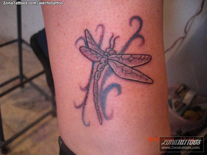 Tattoo photo Insects, Dragonflies