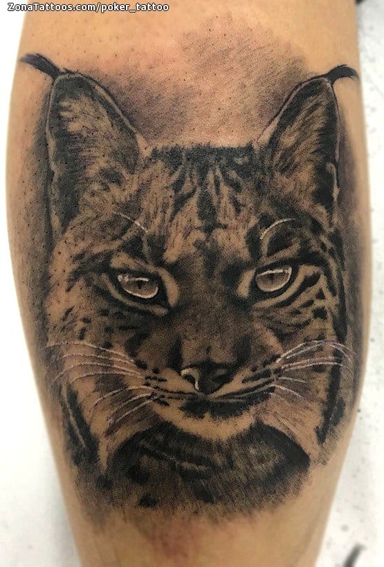 Foto de tatuaje Linces, Animales