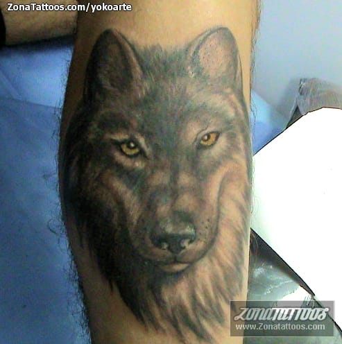 Foto de tatuaje Lobos, Animales