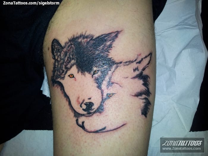 Foto de tatuaje Lobos, Animales