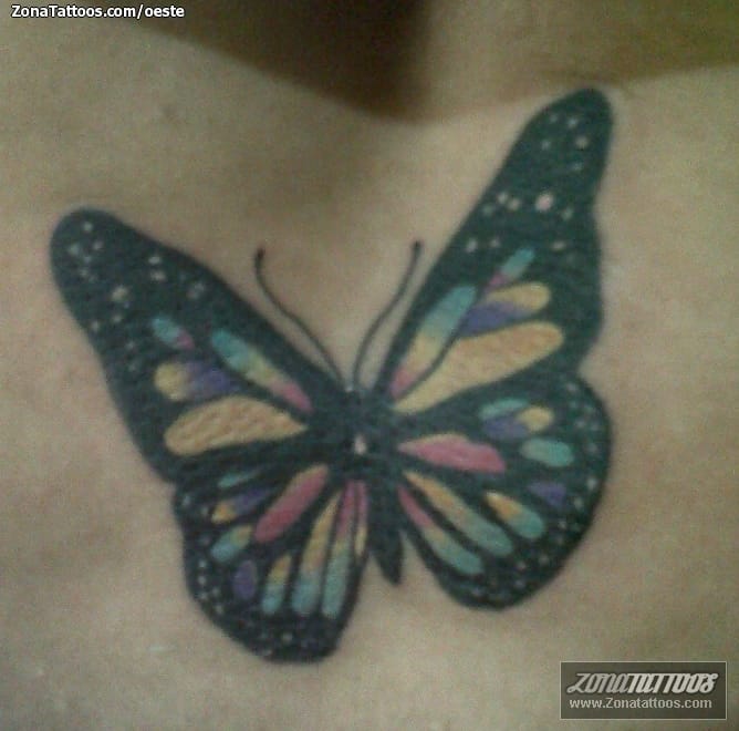 Foto de tatuaje Mariposas, Insectos