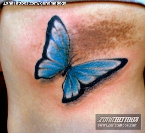 Tattoo photo Butterflies, Insects