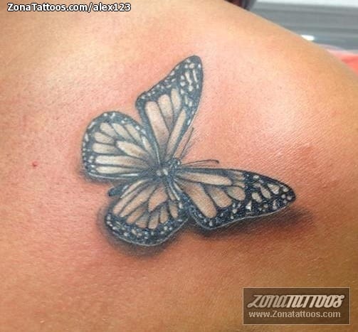 Foto de tatuaje Mariposas, Insectos