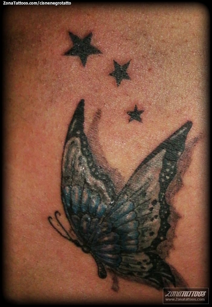 Tattoo photo Butterflies, Stars, Insects