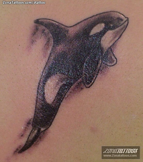 Tattoo photo Animals, Orcas