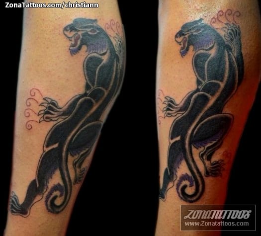 Tattoo photo Panthers, Animals