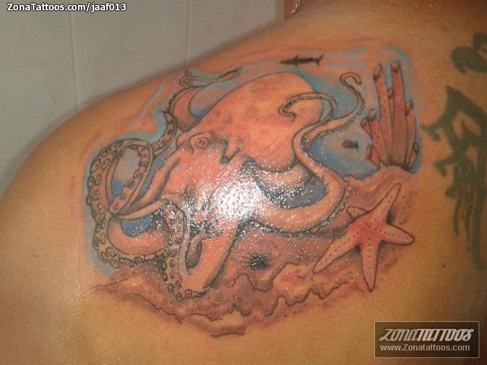 Tattoo photo Animals, Octopuses