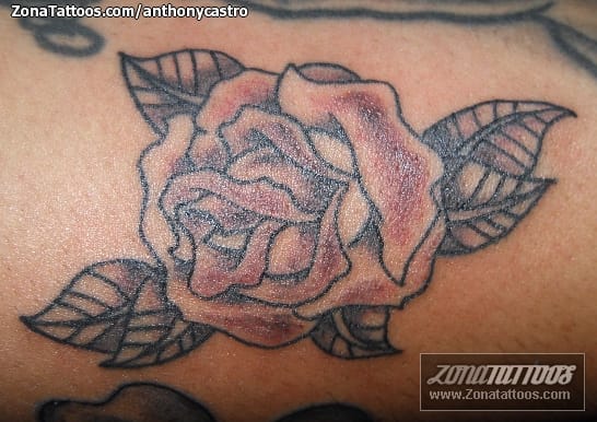 Foto de tatuaje Flores, Rosas