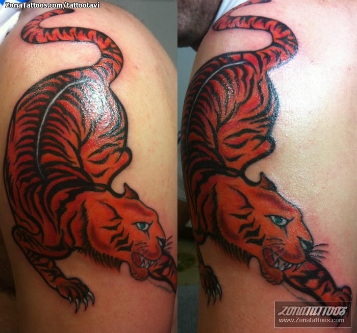 Foto de tatuaje Tigres, Animales