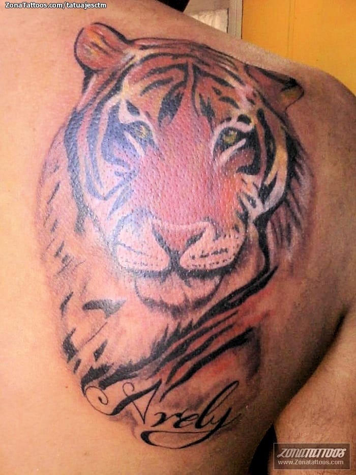 Foto de tatuaje Animales, Tigres, Omóplato