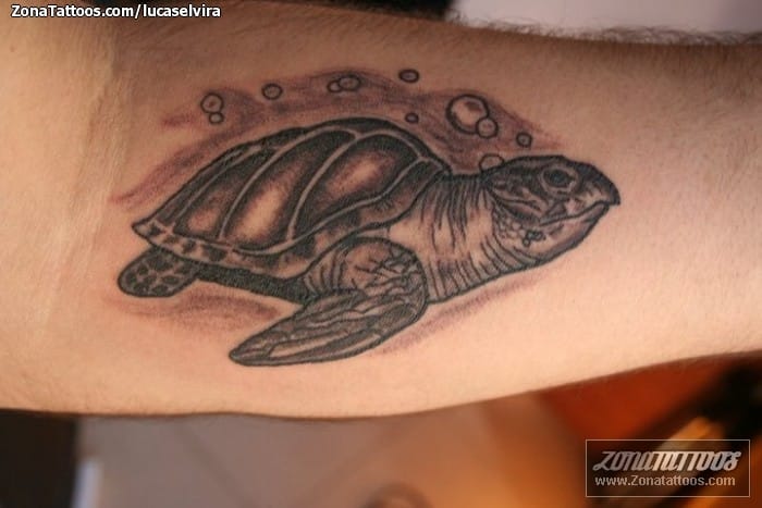 Foto de tatuaje Tortugas, Animales