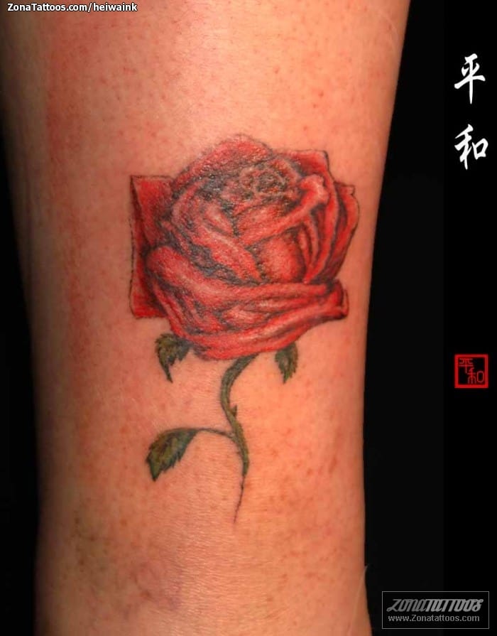 Tattoo photo Roses, Flowers