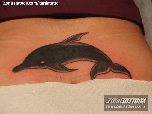 Foto de tatuaje Delfines, Cover Up, Animales