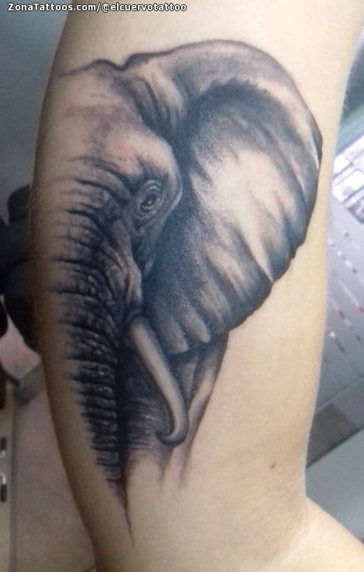 Foto de tatuaje Elefantes, Animales