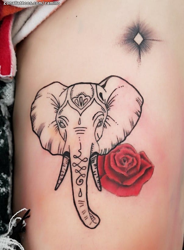 Tattoo photo Elephants, Animals
