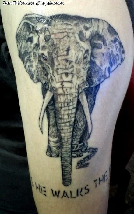 Tattoo photo Animals, Elephants