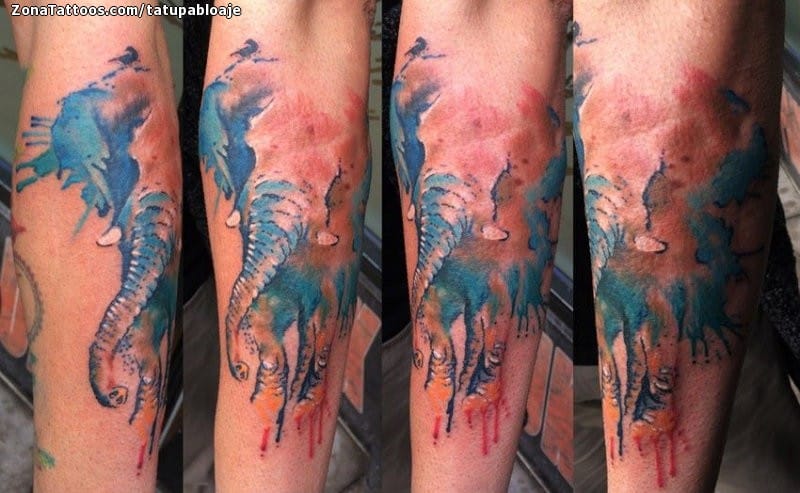 Tattoo photo Elephants, Watercolor, Forearm