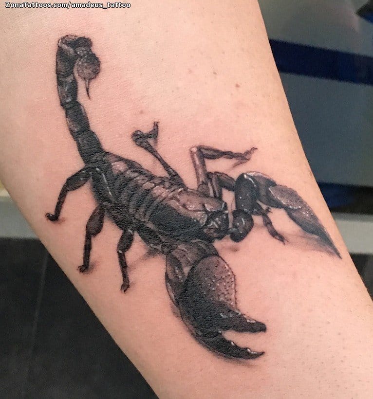 Tattoo photo Scorpions, Animals