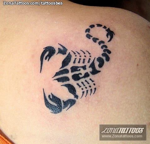 Tattoo photo Scorpions, Insects