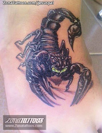 Tattoo photo Scorpions, Instep, Insects