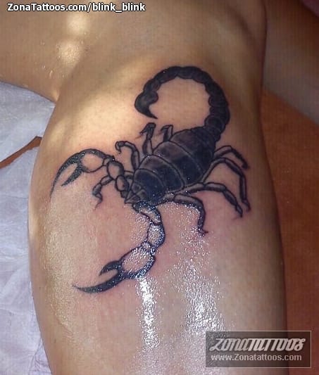 Foto de tatuaje Insectos, Escorpiones