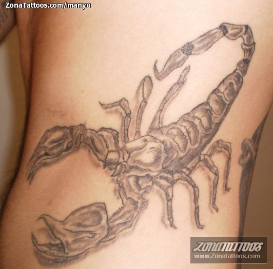 Tattoo photo Scorpions, Insects