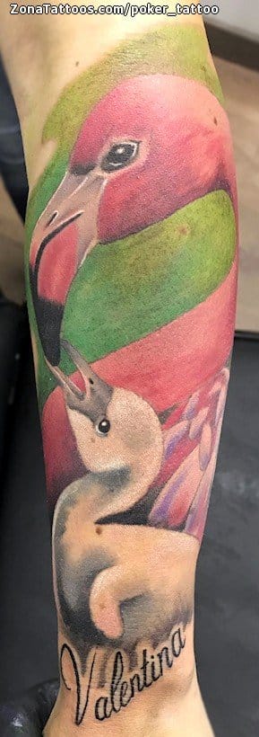 Foto de tatuaje Flamencos, Aves, Animales