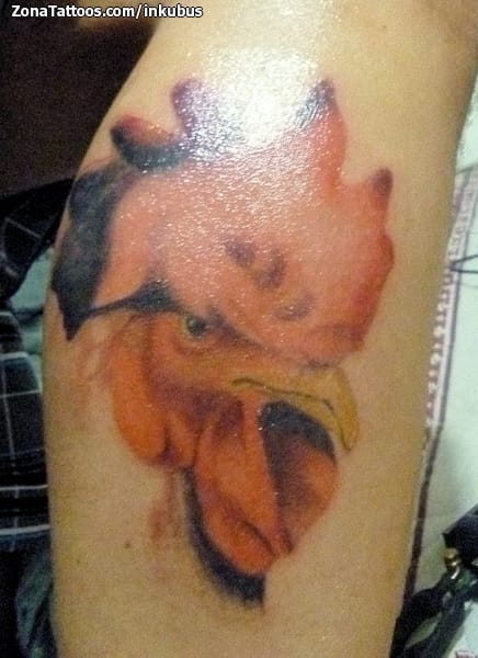 Tattoo photo Animals, Birds, Chickens