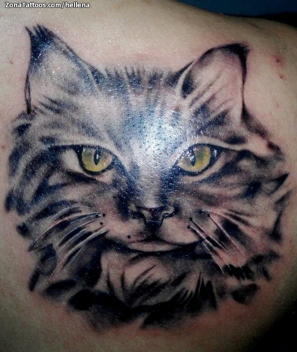 Foto de tatuaje Gatos, Animales