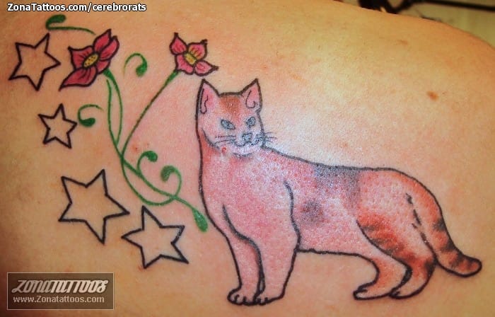 Foto de tatuaje Gatos, Flores, Estrellas