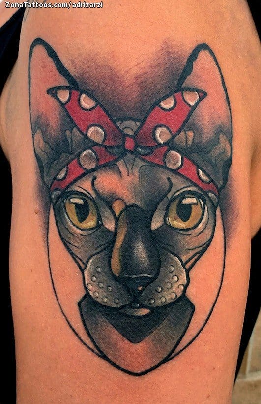 Foto de tatuaje Gatos, Sphynx, Animales