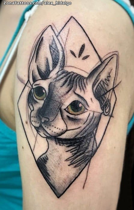 Tattoo photo Cats, Sphynx, Animals